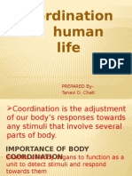 Coordination of Human Life