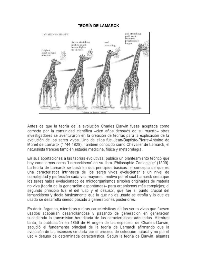 Teoría de Lamarck | PDF | Evolución | Charles Darwin