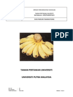 Panduan Tanaman Pisang