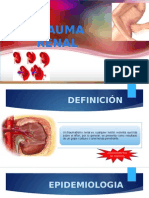 Trauma Renal