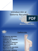 Introducción Al SNC (Sistema Nervioso)