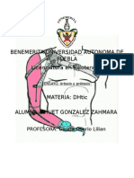 Ortesis y Protesis Ensayo