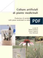 Colture Artificiali Di Pianti Medicinali