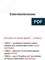 E.coli, Klebs.