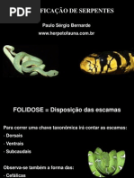 Identif i Cacao Serpent Es