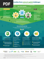 Natural Capital Infographic