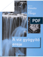 Masaru Emoto Jurgen Fliege A Viz Gyogyito Ereje PDF