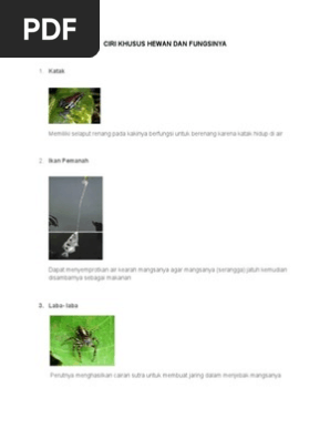Ciri Khusus Hewan Dan Fungsinya