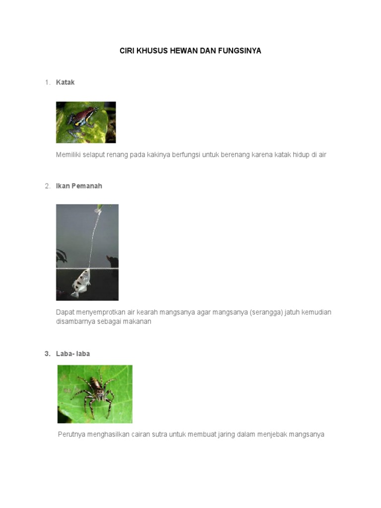 Ciri Khusus Hewan Dan Fungsinya