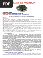 Natanael Da Figueira