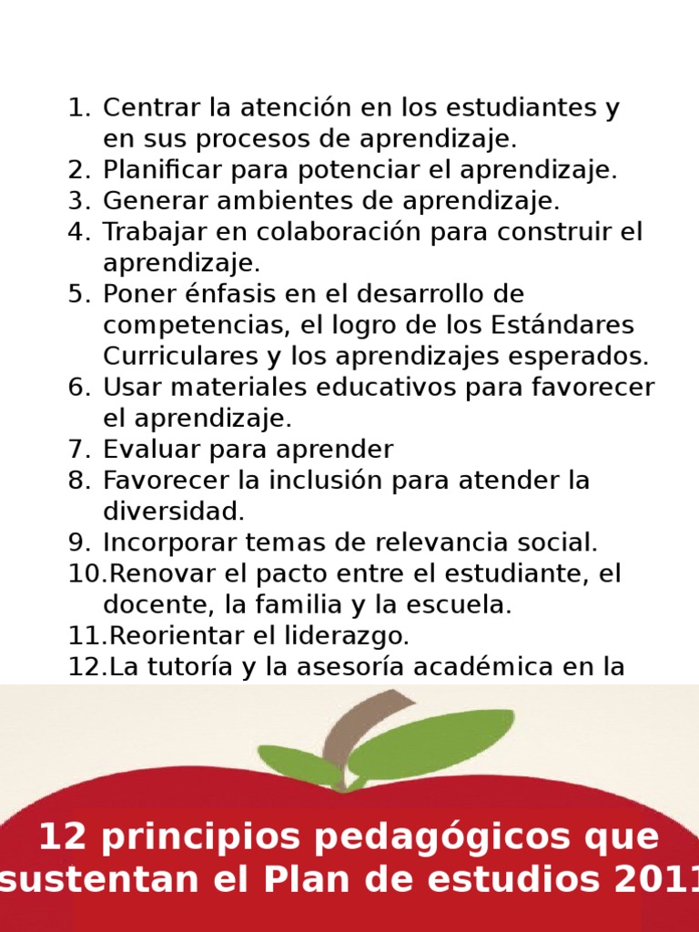 12 principios pedagógicos que sustentan el Plan de