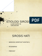 Etiologi Sirosis Hati: Ilham Suryo W. 1061050190