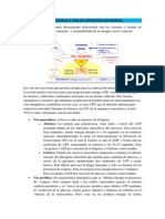 Resistencia y Vías de Obtención de Energía