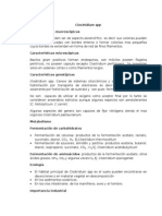 Resumen Clostridium SPP