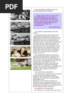 Los Principios Básicos de La Metodología Montessori