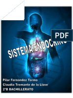 Trabajo Sistema Endocrino