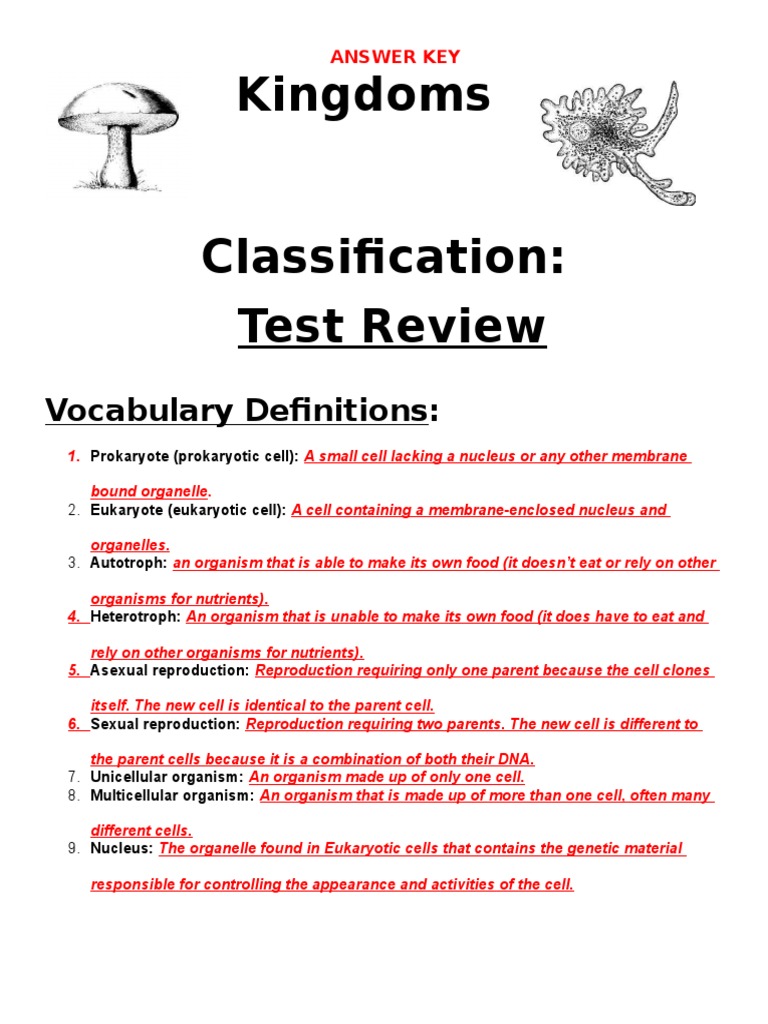 14-Kingdoms Classification-Review Sheet Key | PDF | Cell (Biology ...