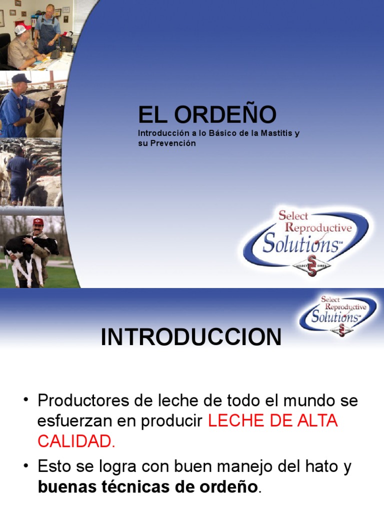El Ordeño | PDF | Leche | Vacas