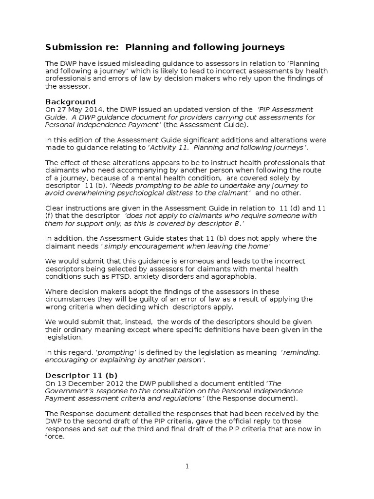 Pip Journey | PDF | Neuropsychological Assessment | Psychology