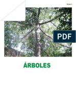 ARBOLES1