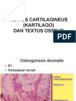 Cartilago Dan Osseus