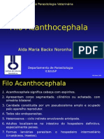 acanthocephala_2008