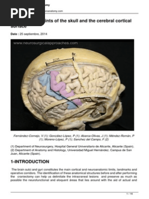 Key Craniometric Points for Neurosurgery | PDF | Parietal Lobe