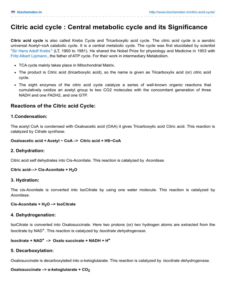 Citric Acid Cycle: Central Metabolic Cycle and Its Significance | PDF ...