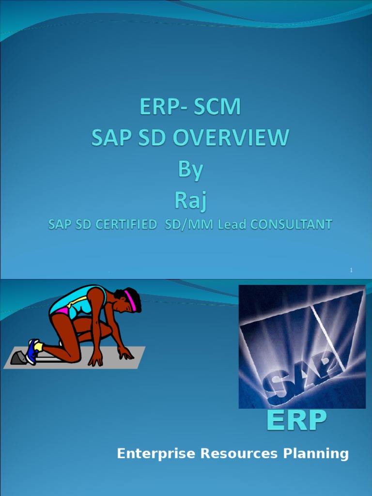 SAP-SD OVERVIEW - Demo - Raj | PDF | Enterprise Resource Planning | Invoice