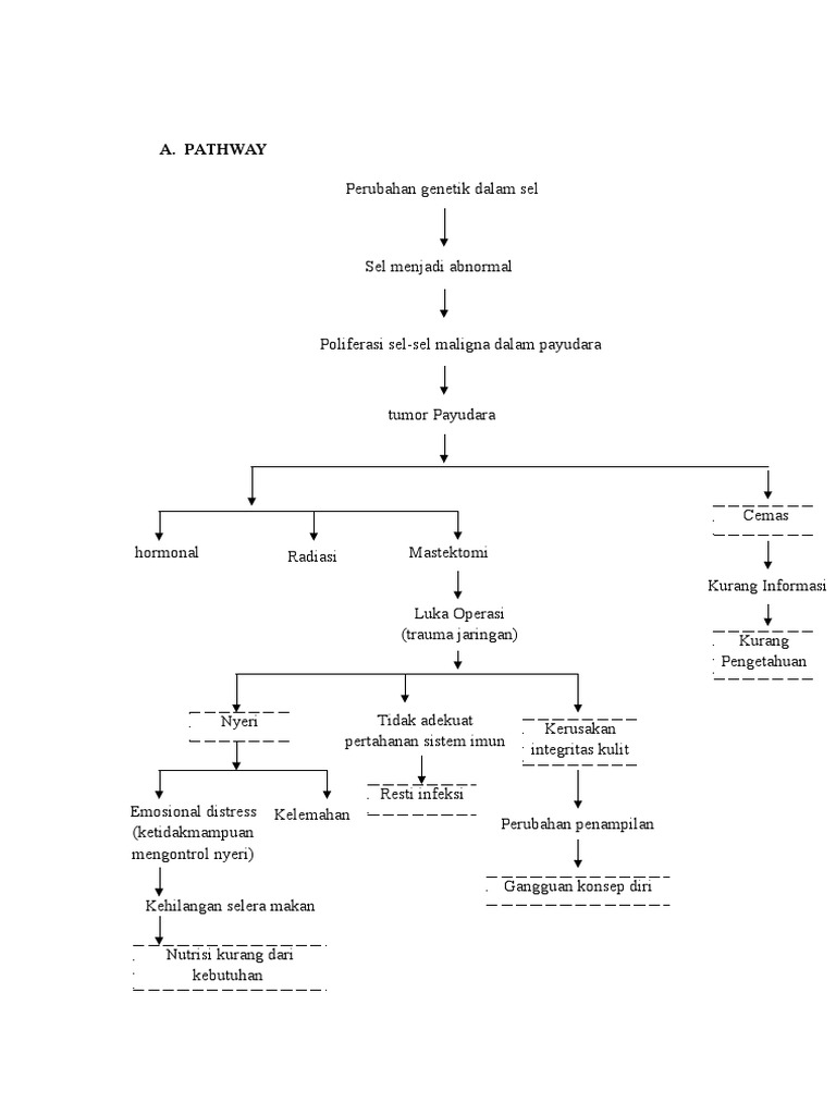 PATHWAY Tumor Mamae