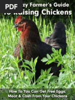 Lazy Farmer Guide To Raising Chickens