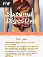 Sistema Digestivo de Sinara