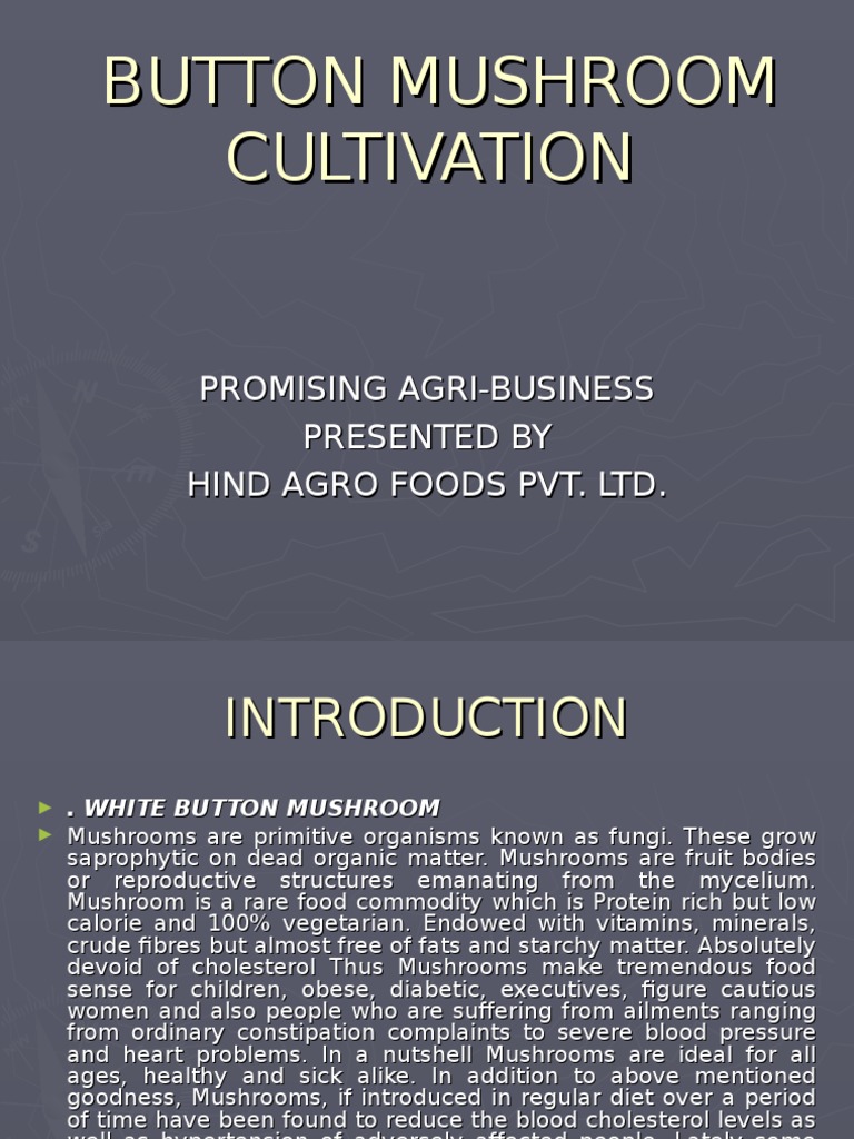 button-mushroom-cultivation-2-ppt-mushroom-compost