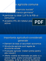 Curs 6.politica Agricola Comuna