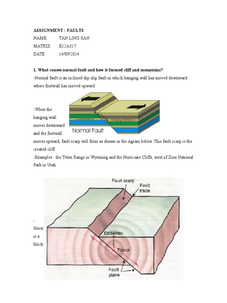 Assignment: Faults | PDF | Travel
