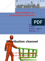 Distribution Channels Presentation - Direct, Indirect, Members