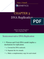 DNA Replication Igenetics Russell