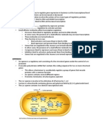 Lac Operon