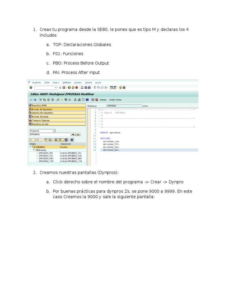 Creación de un Pool de Módulos en SAP | PDF | Informática