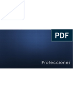 Protecciones Capítulo I PDF
