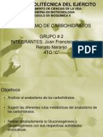 Anabolismo2.pdf