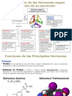 Sistema Endocrino