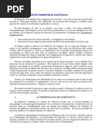 Parentescos y Parentelas | Mujer | Matrimonio Parentescos y Parentelas | Mujer | Matrimonio