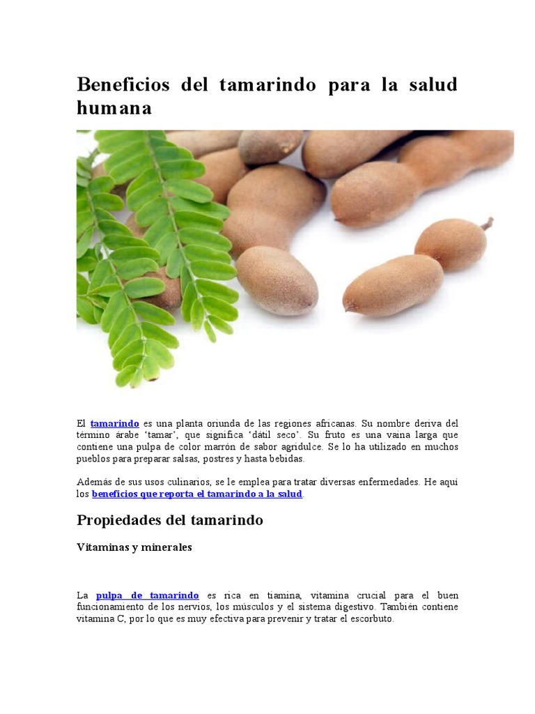 Beneficios Del Tamarindo Para La Salud Humana Legumbre Vitamina