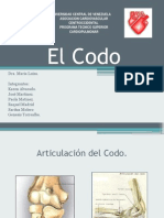 El Codo Exposicion