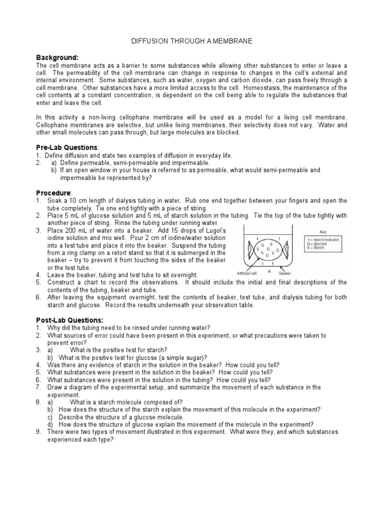 Diffusion and Osmosis Lab Experiment | PDF | Osmosis | Cell Membrane