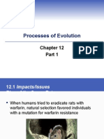 Evolution Processes Chapter 12
