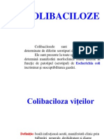 Colibaciloze PDF