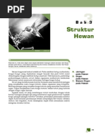 Download STRUKTUR HEWANpdf by alohayahoo SN256240216 doc pdf