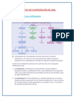 Proceso de Cicatrización de Una Heridas